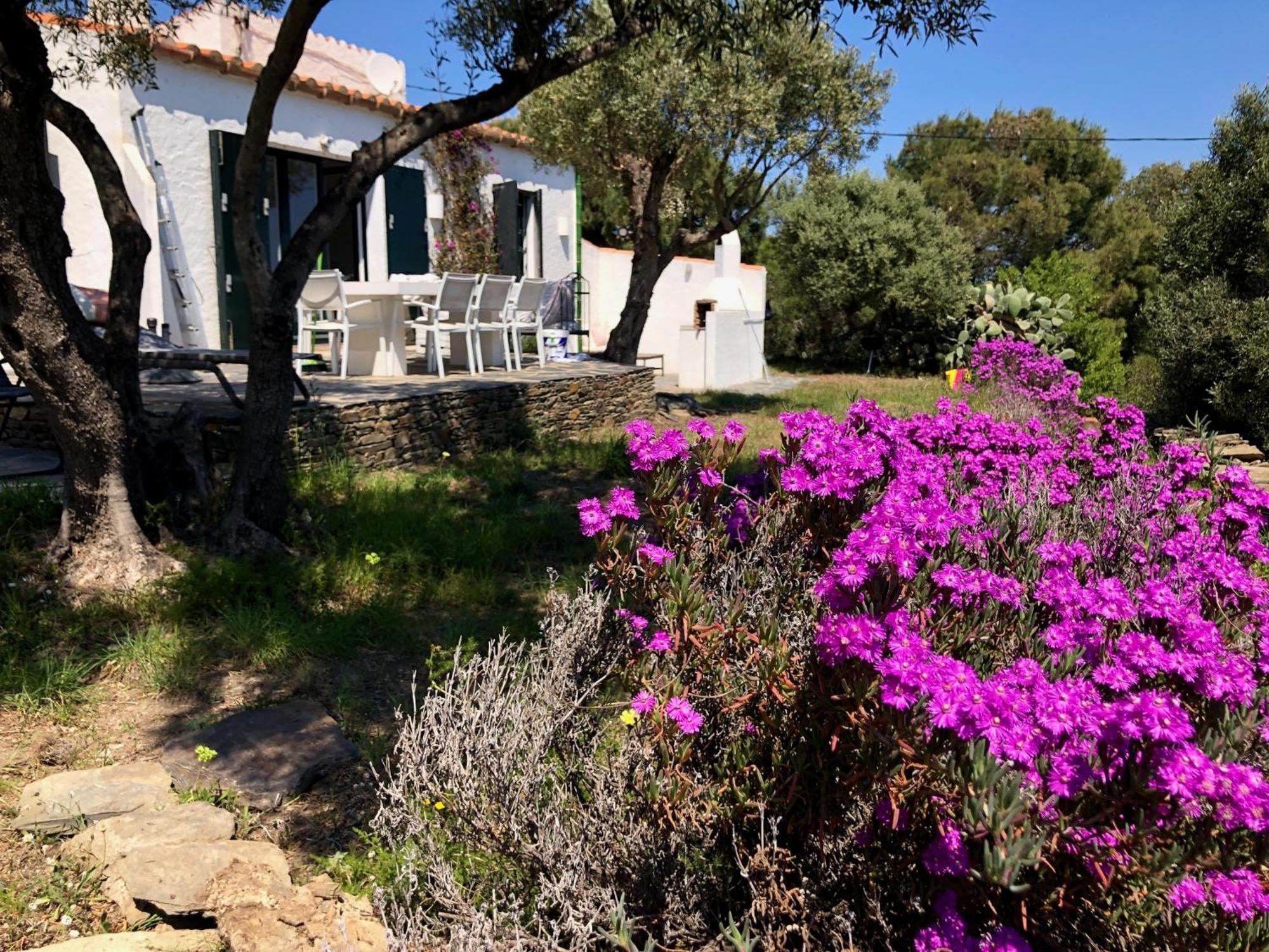 Maison de pêcheur vue mer, grand jardin Cadaqués Exterior foto